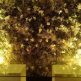 /album/minhas-decoracoes/img-20150329-140540919-jpg1/