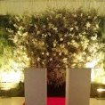 /album/minhas-decoracoes/img-20150329-140548944-jpg1/