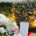 /album/minhas-decoracoes/img-20150329-142459777-jpg1/