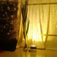 /album/minhas-decoracoes/img-20150329-150809461-jpg1/