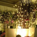 /album/minhas-decoracoes/img-20150329-162850839-jpg1/