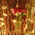 /album/minhas-decoracoes/img-20150329-162923387-jpg1/